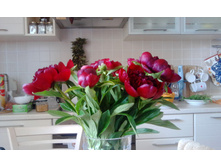 IMG 20170620 092619.jpg