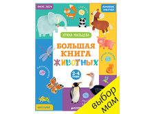 ������� ����� ��������. 2-4 ����