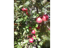 2016-09-23 14.55.10.jpg