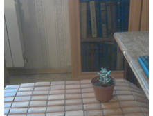 ��������� ����������