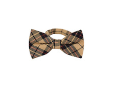 145 ���. - ������� ���� � ������