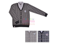 ��������-��������, �������: C 7013, 495 ���