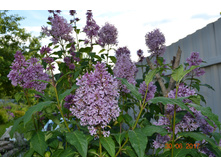 ������. �� ����� ����� ����!