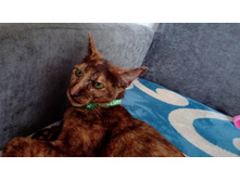 IMG 20170717 084758.jpg