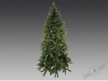 ���  "��������"