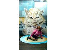 P 20170520 154442.jpg