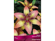 ����� ��-���� ��-��� 184 ���. ��. (� �������� 5 ��.). ������ �� 80 ��. ������� ������� �� 20 ��. �������� ������!!!!!!!!!!!!!!!!.jpg