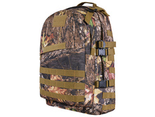 995 ���. - ������ 46�18�33 ��