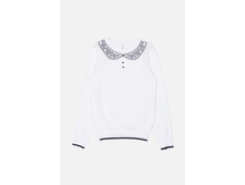 20240310003   Dove        (   ).jpg