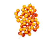 ��������� �����������, ��������-�������  1,89 �.