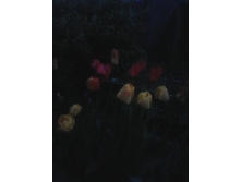 2016-05-05 20.25.01.jpg