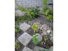 2017-06-09 20.05.00.jpg