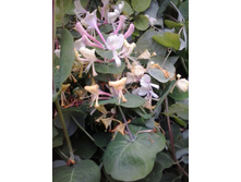 2017-06-16 19.06.59.jpg