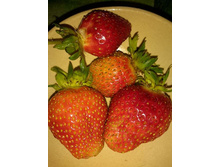 ������ ����� 2017 ����)) ����� 1 �����.