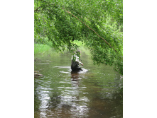 IMG 0177.JPG