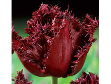 �������� ����������� ���-����� 139,3 ���. ��. (� �������� 7 ��.). ������ �� 45 ��. ������� ������ �� 12 ��.jpg