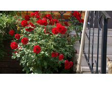 DSC07757 �� ����.jpg