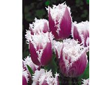 �������� ����������� ���-���� 167.3 ���. ��. (� �������� 7 ��.). ������ �� 50 ��. ������� ������ �� 12 ��.jpg