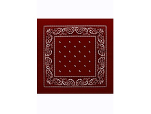 45 ���. - Paisley Acrylic 55�55 ��