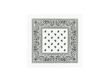 45 ���. - Paisley Acrylic 55�55 ��