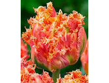 �������� �������� ������� ���-��� 181,3 ���. ��. (� �������� 7 ��.). ������ �� 45 ��. ������� ������ �� 10 ��..jpg