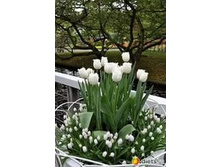 .������� � ����������.jpg