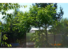 ���� ������������