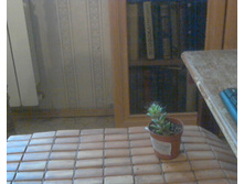 ������������ ���������