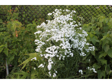 ������������� �������� ����������.JPG