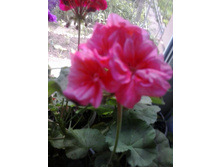 2016-06-02 14.02.08.jpg