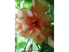 2016-06-06 12.30.26.jpg