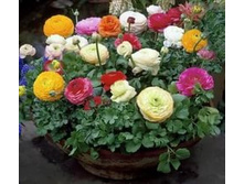 .������ � ����3.jpg