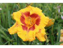 �������� ����� ��.JPG