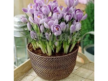 ������� ���� 3.jpg