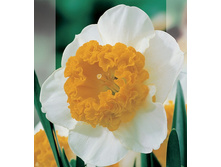 ���-����� ��������� ��-��� 119,7 ���. ��. (� �������� 3 ��.). ������ �� 40 ��. ������� ������� �� 10 ��.!!!!!!!!!!!!!! ��������.jpg