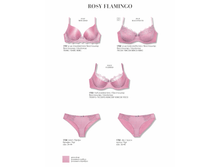 10 ROSY FLAMINGO .png