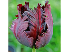 ������� ���������� ���-� ���-��� 132,3 ���. ��. (� �������� 7 ��.). ������ �� 50 ��. ������� ������ �� 11 ��..jpg