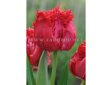 �������� ����������� ���-����� 167,3 ���. ��. (� �������� 7 ��.). ������ �� 45 ��. ������� ������ �� 10 ��.jpg