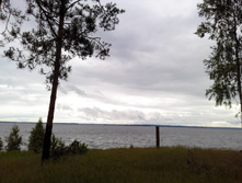 IMG 20170622 164226.jpg