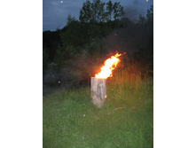 IMG 0203.JPG
