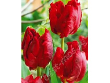 ������� ���������� �-�� ���-��� 174,3 ���. ��. (� �������� 7 ��.). ������ �� 40 ��. ������� ������ �� 15 ��.!!!!!!�������� .jpg