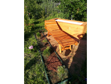 IMG 20170718 173315.jpg