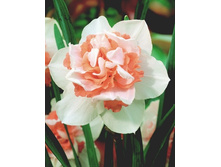 ���-���� ���-����� ����-���� 69,7 ���. ��. (� �������� 3 ��.). ������ �� 40 ��. ������� ������ �� 9 ��.!!!!!!!!!!!!!! ��������.jpg