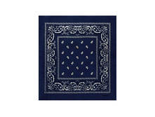 60 ���. - Paisley Cotton 55�55 ��