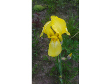 P 20170624 190239.jpg