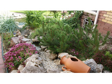 DSC07765 �� ����.jpg