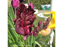 ������� ���������� ���-� ���-��� ���. ����..jpg