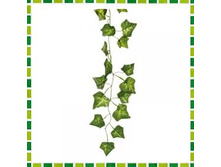 �������� ������������� "�����" 2� �������: ��501316750