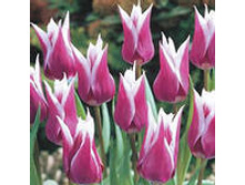 �������� ������������ ����-��� 90,3 ���. ��. (� �������� 7 ��.). ������ �� 60 ��. ������� ������ �� 8 ��. .jpg