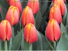 �������� ��������� ������� ���-�� � 111,3 ���. ��. (� �������� 7 ��.). ������ �� 65 ��. ������� ������ �� 12 ��.jpg